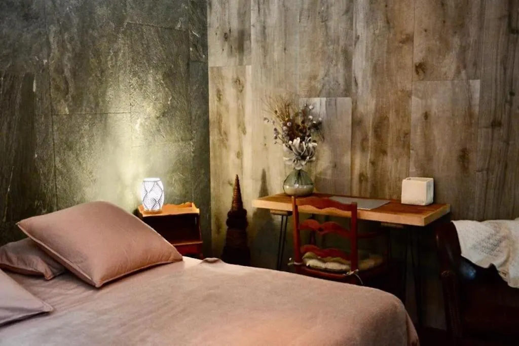 公寓 Appartement Typique De Montagne 霞慕尼